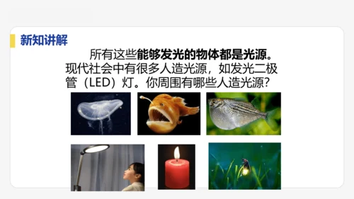 4.1  光的直线传播  课件 