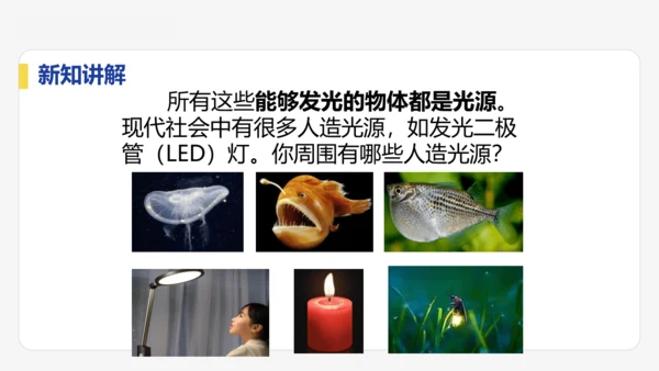 4.1  光的直线传播  课件 