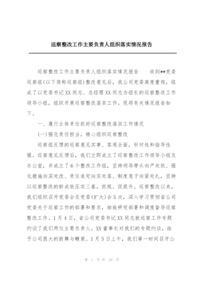 巡察整改工作主要负责人组织落实情况报告.docx