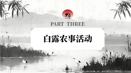 黑白色中国风白露节气学校主题班会PPT模板