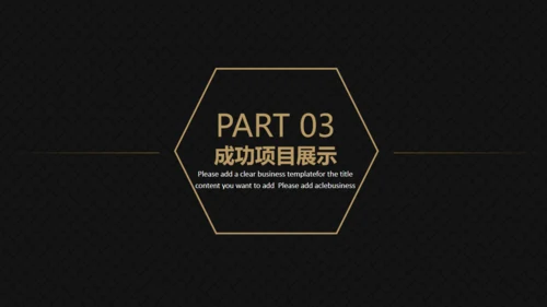 高端黑金商务商业计划书通用PPT模版