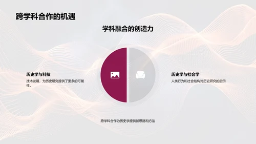 历史学应用研究报告