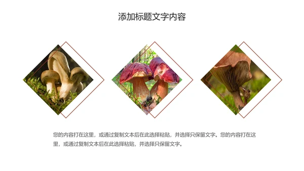 蘑菇菌类养生文化宣传动态PPT模板
