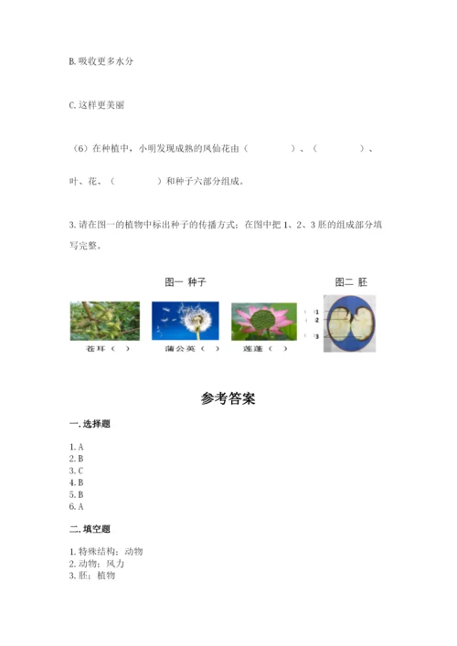 教科版科学四年级下册第一单元《植物的生长变化》测试卷附答案（巩固）.docx