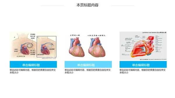 蓝色心脏医疗医学解剖研究ppt动态模板