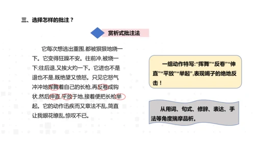 八年级上册语文 第五单元 名著导读《昆虫记》导读 课件