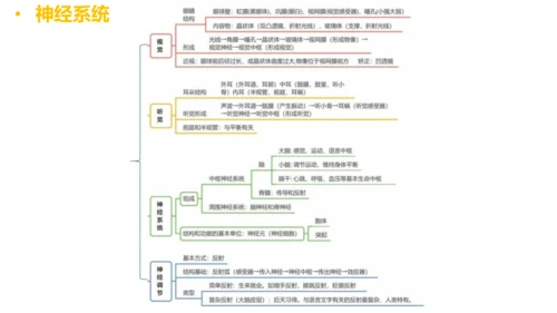 第四单元 生物圈中的人 七年级生物下册同步精品课件（人教版）(共31张PPT)