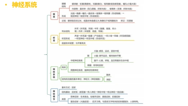 第四单元 生物圈中的人 七年级生物下册同步精品课件（人教版）(共31张PPT)