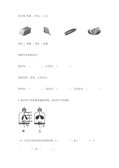 教科版四年级上册科学 期末测试卷标准卷.docx