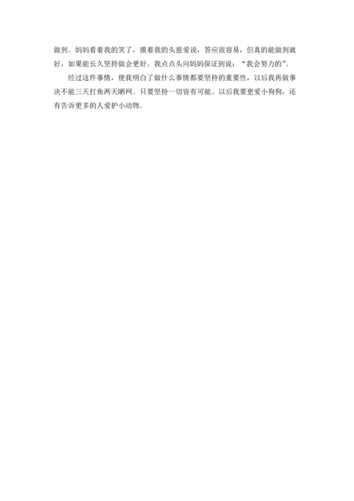 流浪狗作文锦集7篇.docx