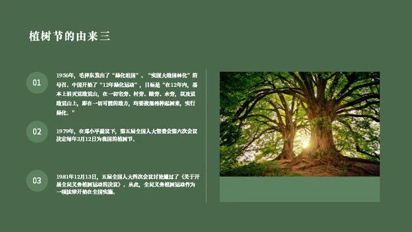 简约风植树节主题班会通用PPT模板