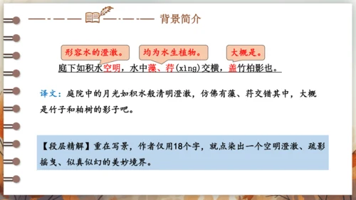 11 短文二篇 课件-2024-2025学年语文部编版八年级上册