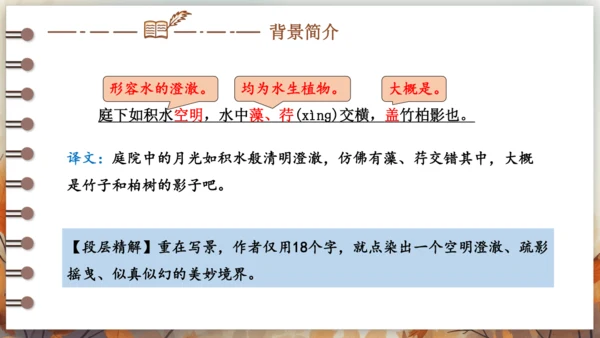 11 短文二篇 课件-2024-2025学年语文部编版八年级上册