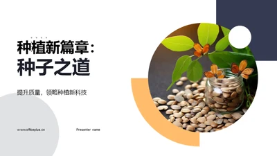 种植新篇章：种子之道