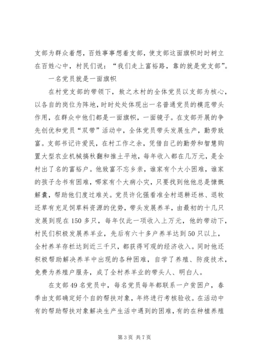 村党支部经验材料.docx