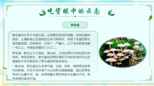 七彩云南文旅宣传通用PPT模板