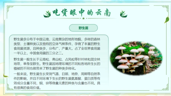 七彩云南文旅宣传通用PPT模板
