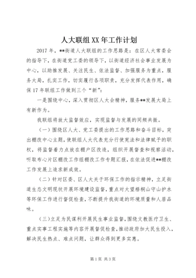 人大联组某年工作计划.docx