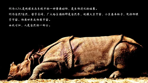 敬畏自然尊重生命保护动物大象通用PPT模板