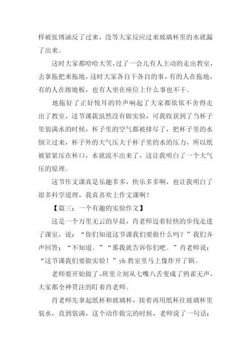 做实验的作文.docx