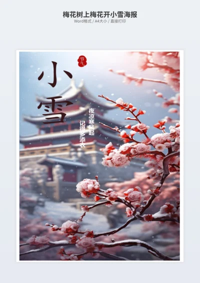 梅花树上梅花开小雪海报