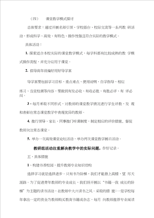 永锋小学教师专业发展年实施方案Document