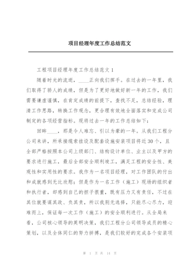 项目经理年度工作总结范文.docx