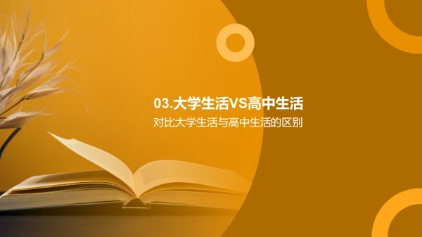 大学生涯：挑战与机遇