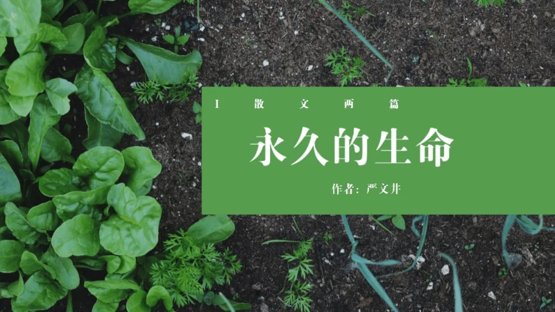 第16课《永久的生命》同步课件