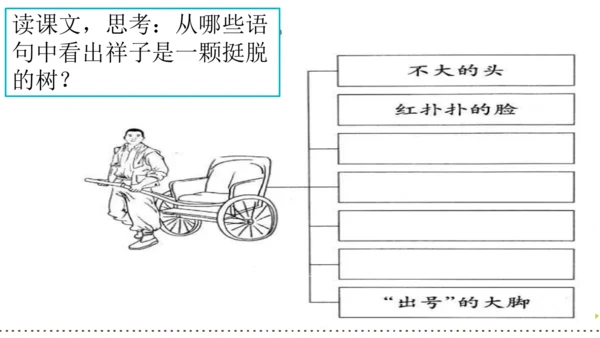 13 人物描写一组   摔跤  课件