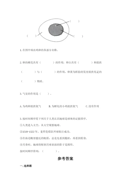 教科版小学科学三年级下册期末测试卷审定版.docx