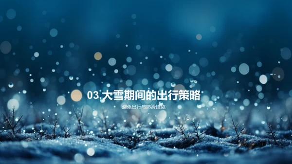 大雪天气的应对策略