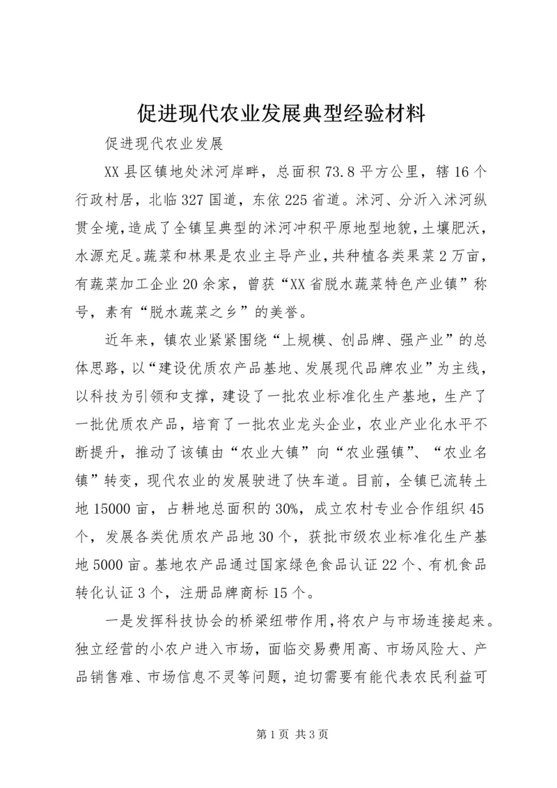 促进现代农业发展典型经验材料 (2).docx