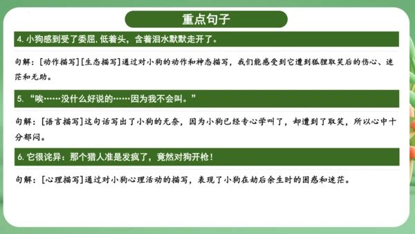 统编版2024三年级语文上册第四单元复习   课件