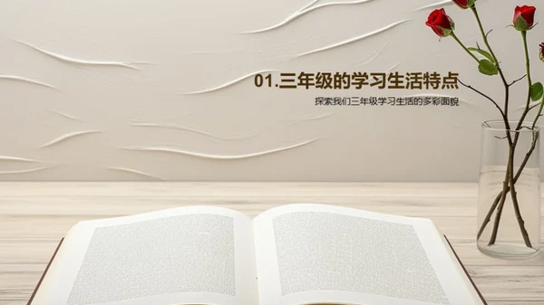 三年级：挑战与乐趣