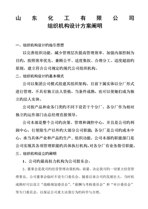 公司组织机构设计专题方案.docx