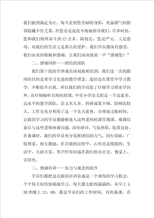 骨干教师跟岗培训学习总结
