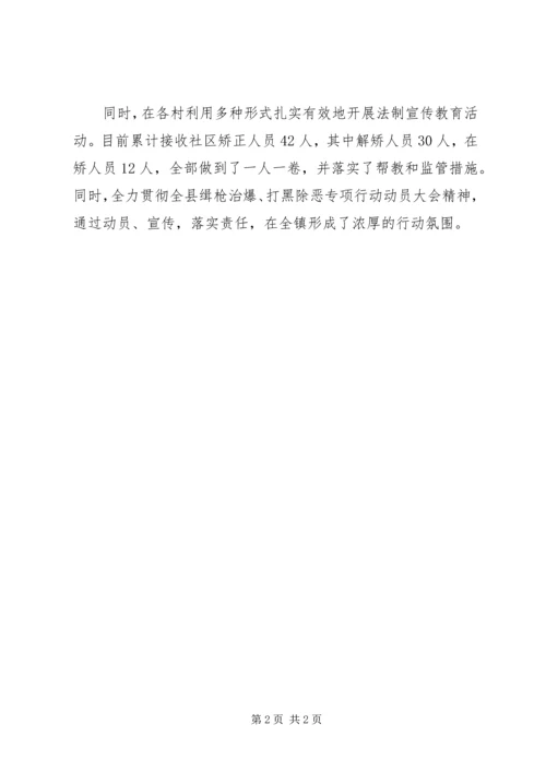 乡镇年度政法工作总结.docx