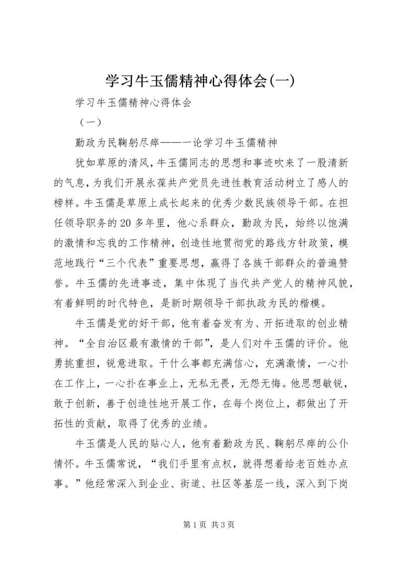 学习牛玉儒精神心得体会(一).docx