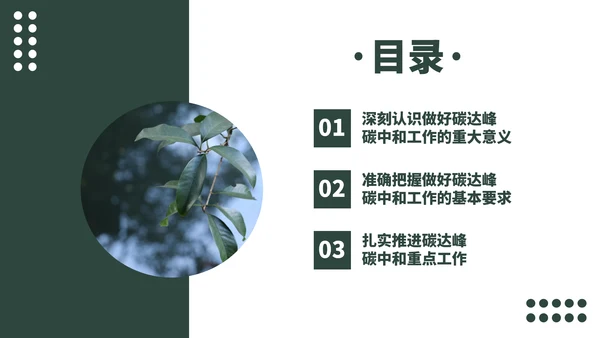 低碳经济碳达峰碳中和新理念PPT党课