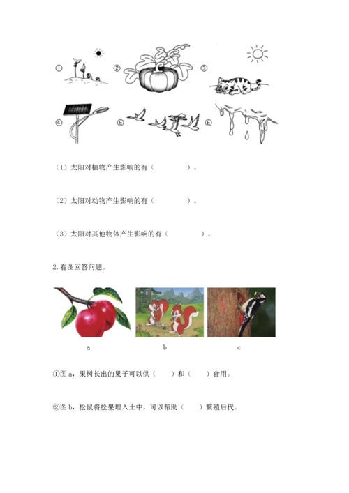 教科版二年级上册科学期末测试卷精品【a卷】.docx