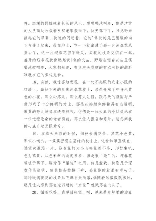 描写迎春花好句好段.docx