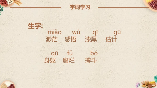 最棒的玉米小学四年级语文课文PPT课件