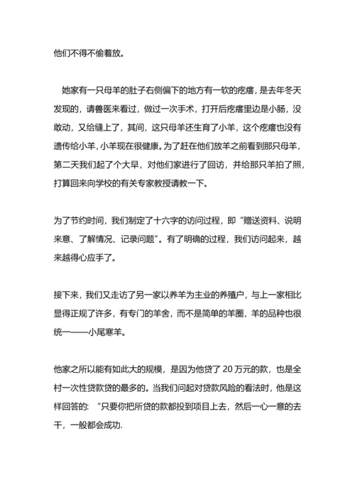 农村社会实践报告实习报告.docx