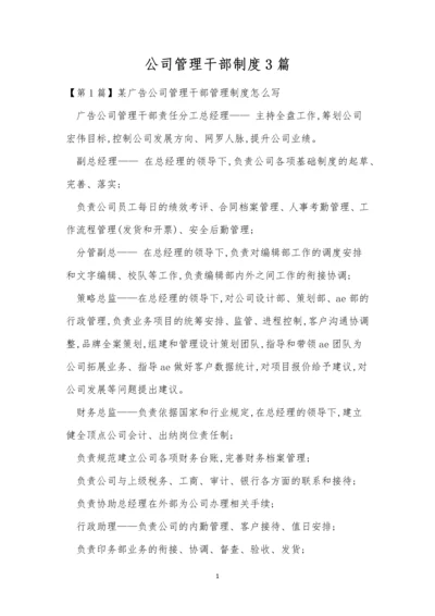 公司管理干部制度3篇.docx