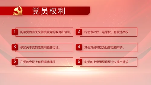 红色党支部党员大会年终工作总结PPT