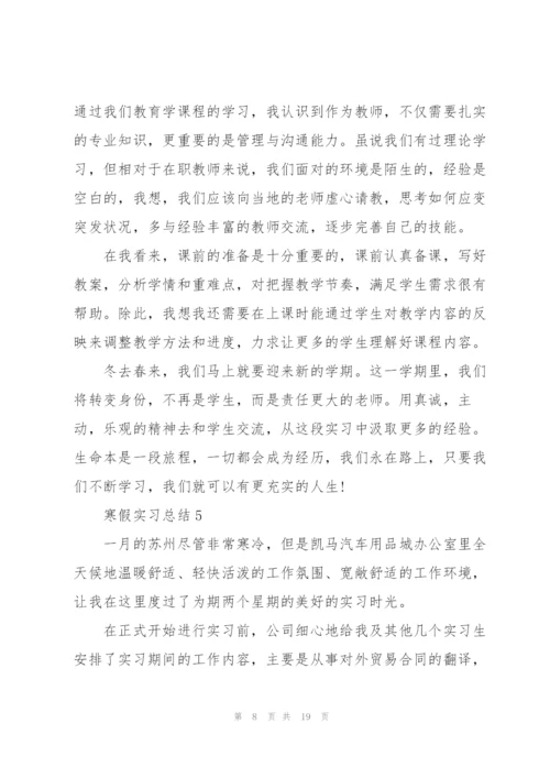 寒假实习总结10篇.docx