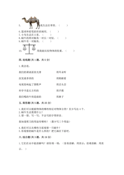 教科版一年级下册科学期末测试卷附答案（培优a卷）.docx
