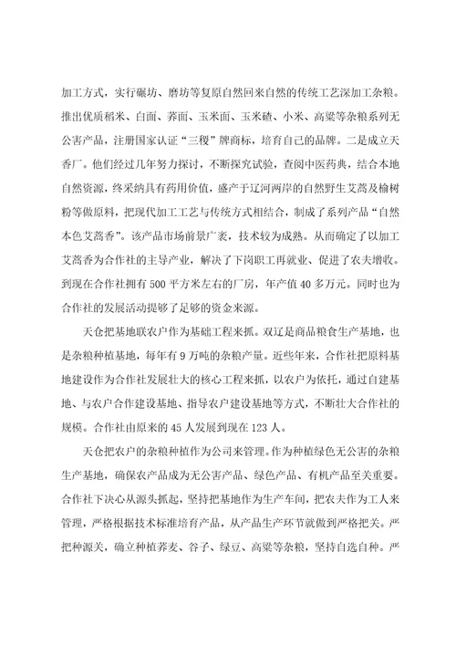 杂粮种植专业合作社调查报告
