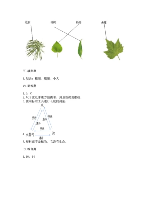 教科版小学一年级上册科学期末测试卷及答案【网校专用】.docx